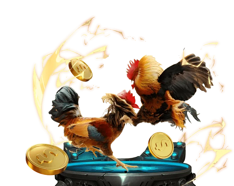 Gà Chọi Indonesia